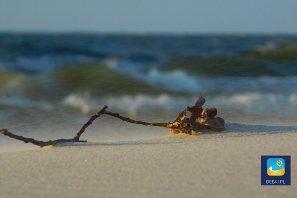 Dębki - ruchome piaski podczas silnych wiatrów
