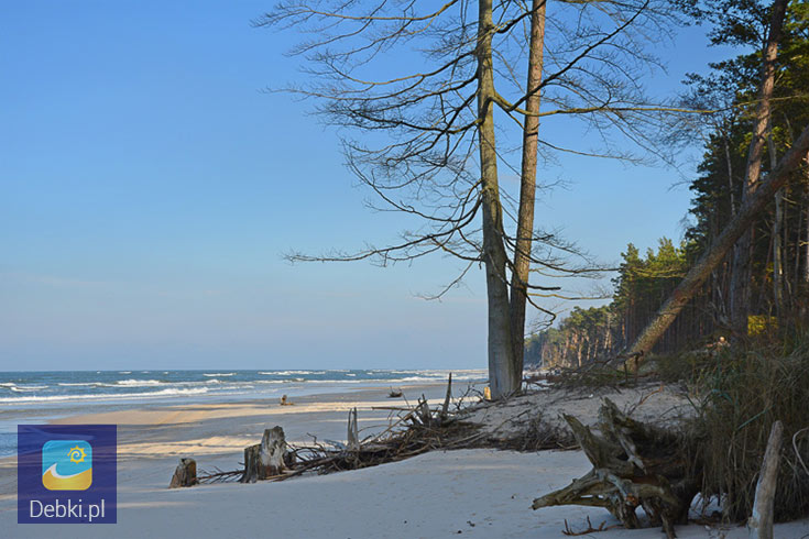 plaża nad morzem widok przepiękny