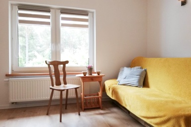 Pok&oacute;j dzienny apartamentu 1