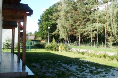 widok od drogi - lasek