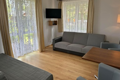 Apartament numer 1 - salon (w salonie dwie kanapy 2-osobowe)