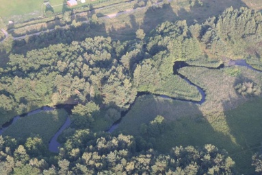 rzeka Piaśnica 50m obok-spływ kajakiem 