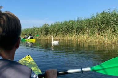 Spływ kajakowy rzeką Piasnica ,kt&oacute;ra wplywa w Dębkach do morza
