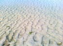 plaża w Dębkach