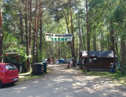 Pole namiotowe Leśne