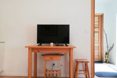 Pok&oacute;j dzienny apartamentu 1