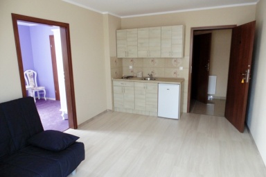 WILLA LUDWIK - pok&oacute;j dzienny z aneksem kuchennym w apartamencie
