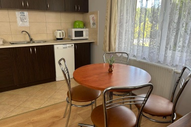 Apartament numer 1 - kuchnia z jadanią 