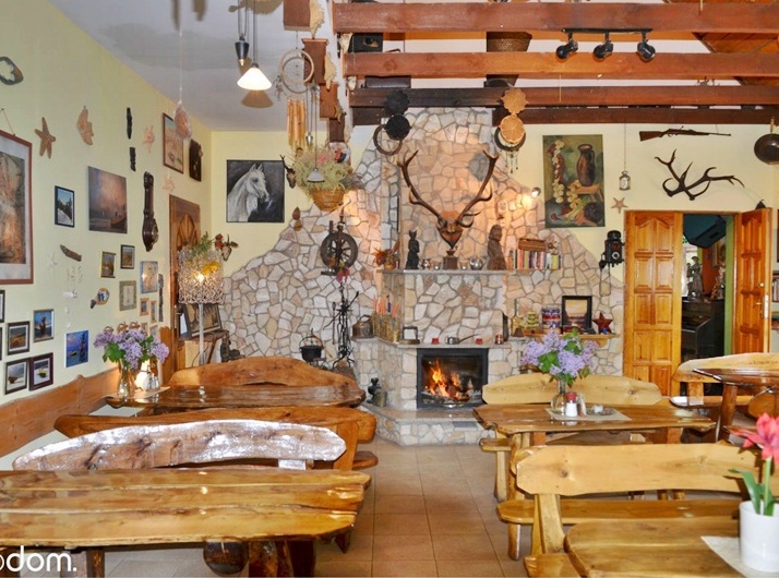 BAR Holstein