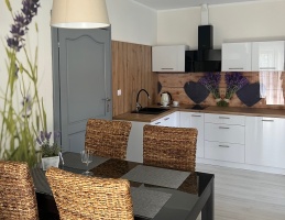 OSTOJA - pokoje gościnne Apartament z aneksem kuchennym.t