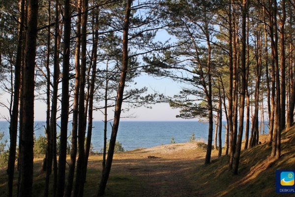 Wyjątkowy widok na morze