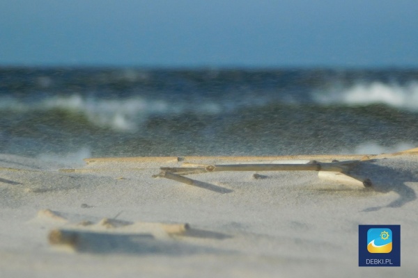 Dębki - silny wiatr wprawia piasek w ruch
