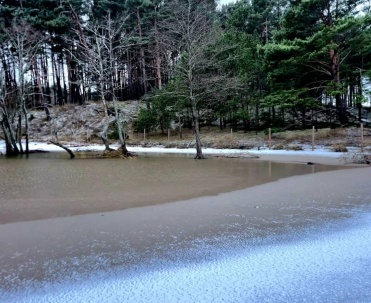 Bałtyk zimą w Dębkach &ndash; mroźny brzeg
